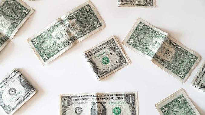 100 dollar to kronor illustration